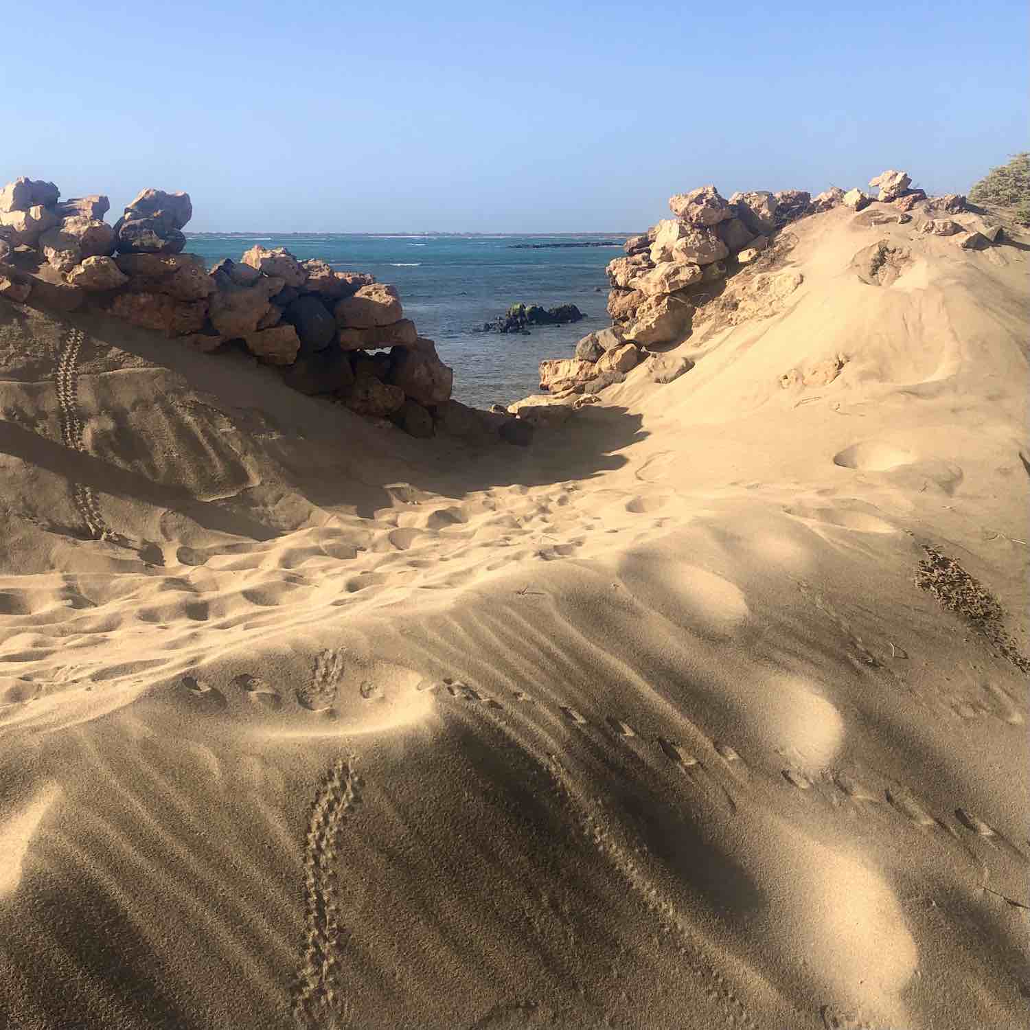 Dune at the beach of Baxona