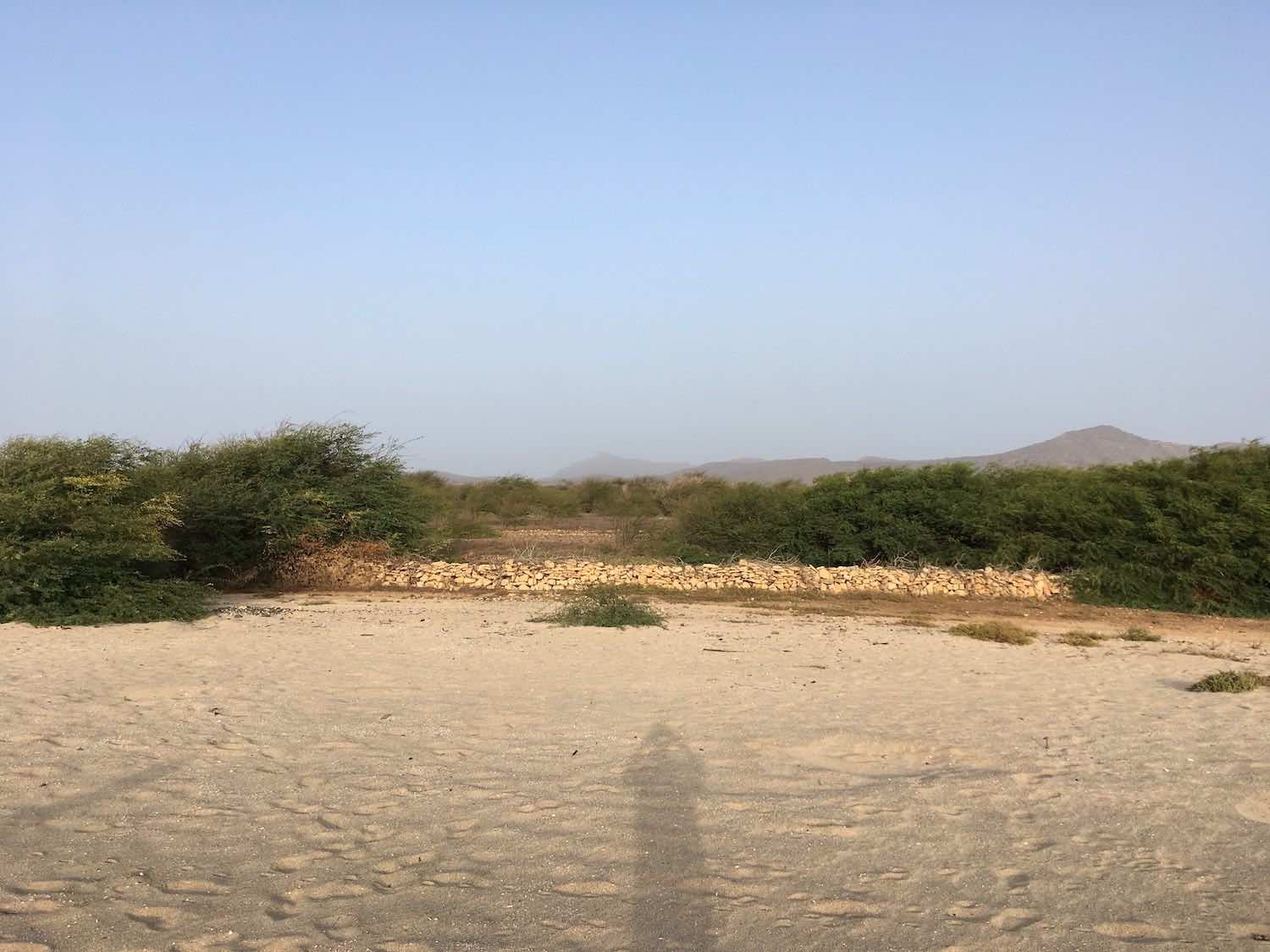 View from the beach to the east towards the boundary wall of the land