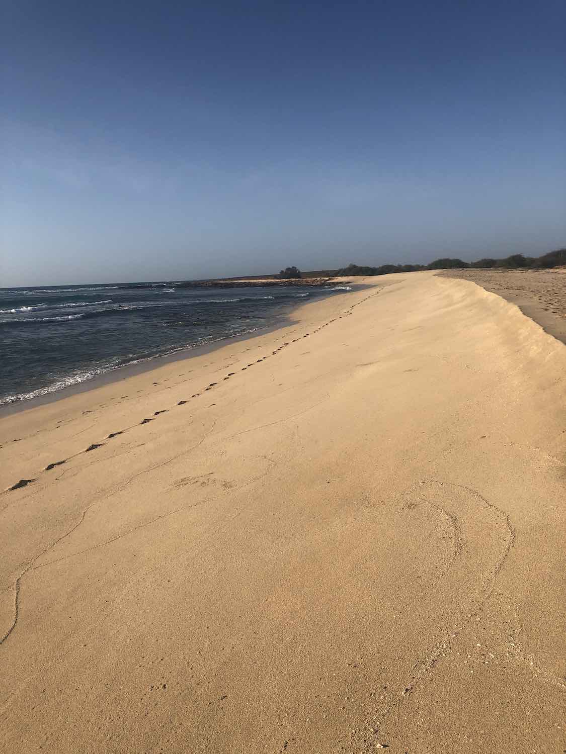 The property borders directly on this dream beach